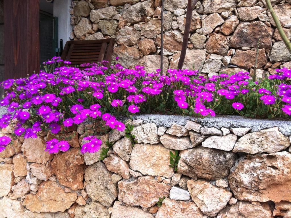 Agriturismo La Rocca Di Perti Finale Ligure Εξωτερικό φωτογραφία