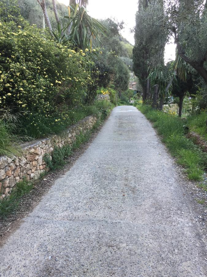 Agriturismo La Rocca Di Perti Finale Ligure Εξωτερικό φωτογραφία