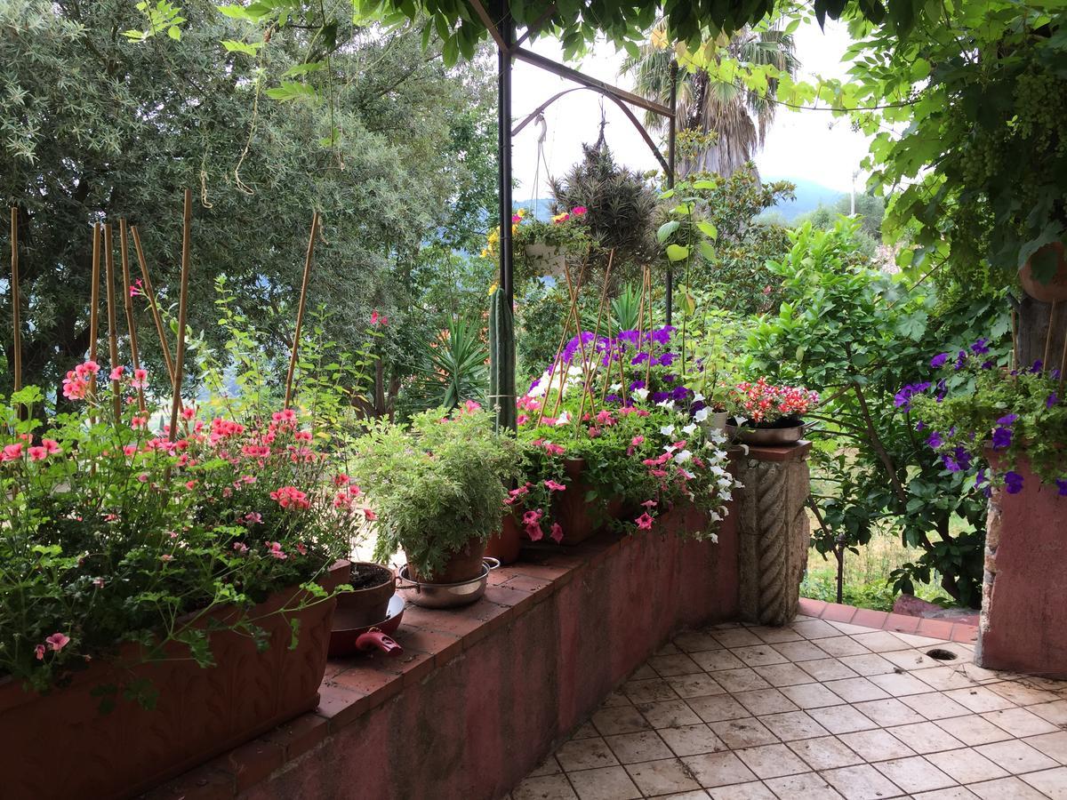 Agriturismo La Rocca Di Perti Finale Ligure Εξωτερικό φωτογραφία